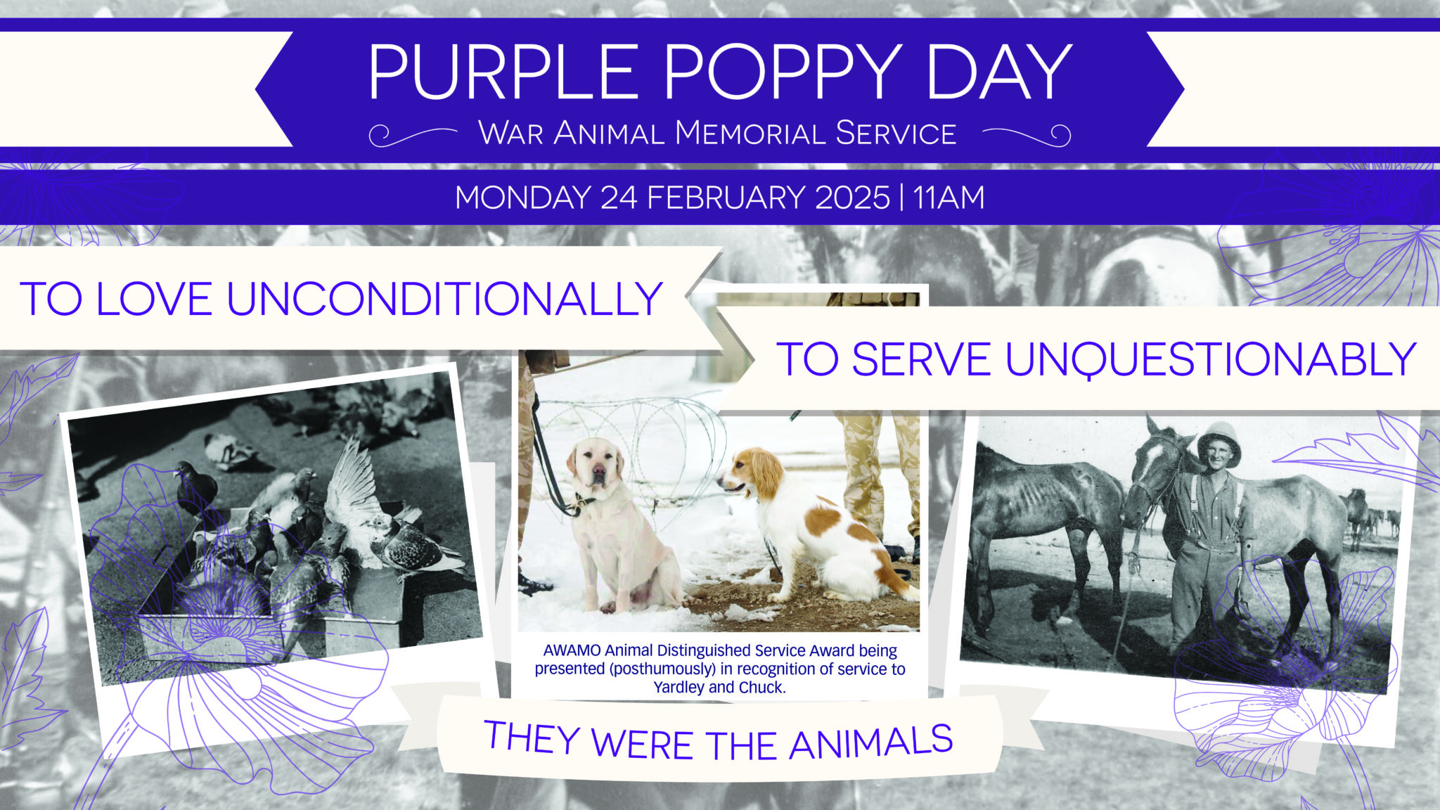 Purple Poppy Day 2025 - Visit Ruapehu.jpg